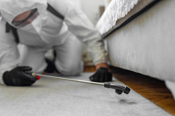 Professional Cockroach Control technician working in Canastota, NY